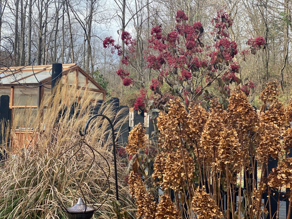 fall garden