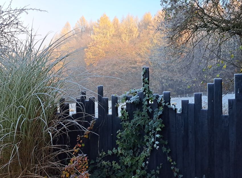 Black Fence at Veddw Garden copyright Anne Wareham