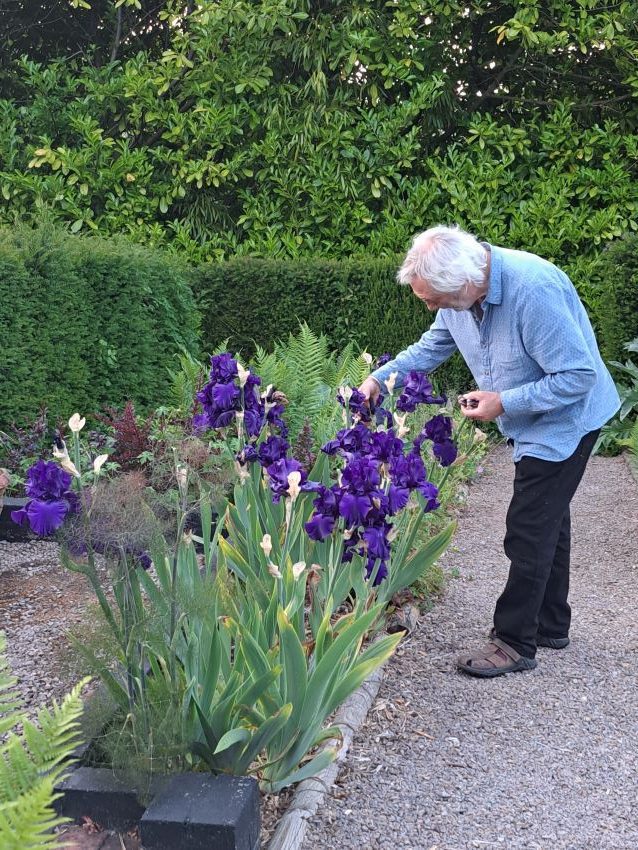 Charles Hawes gardening at Veddw Garden copyright Anne Wareham