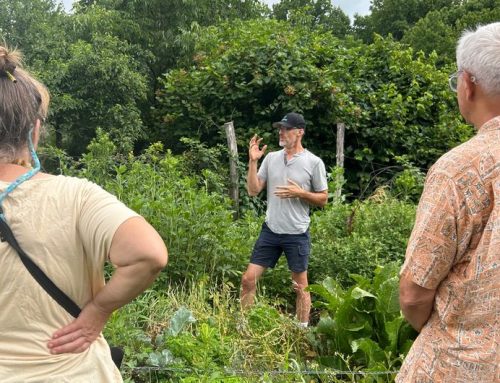 Lincoln Smith’s Agroecological Research Garden: Forested