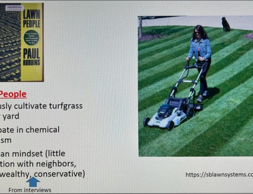 Dissing “Lawn People” AND “Lawn Dissidents”? It’s DEI Day in My Lawn Class