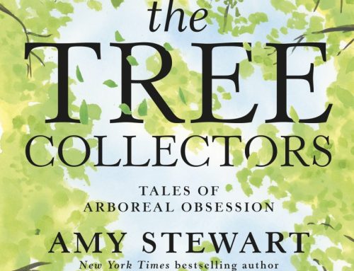 Amy Stewart’s celebration of trees and their people – plus a giveaway