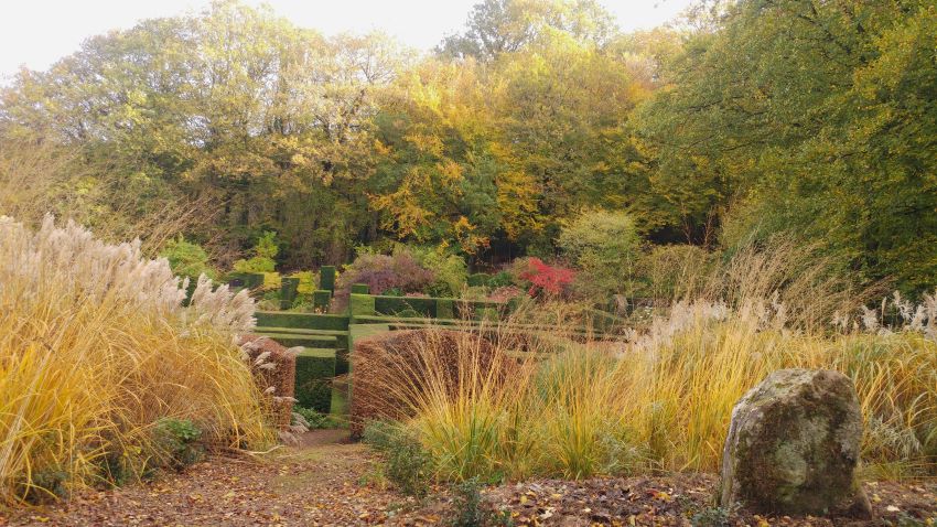 View over the garden at Veddw Garden copyright Anne Wareham